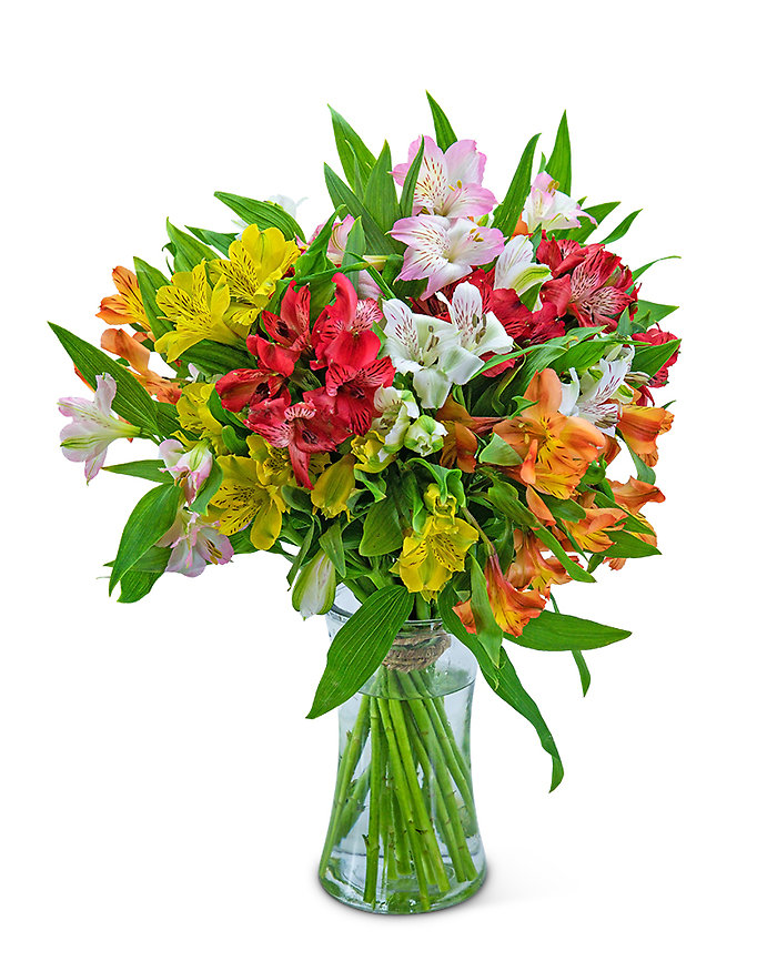 Cheerful Peruvian Lilies