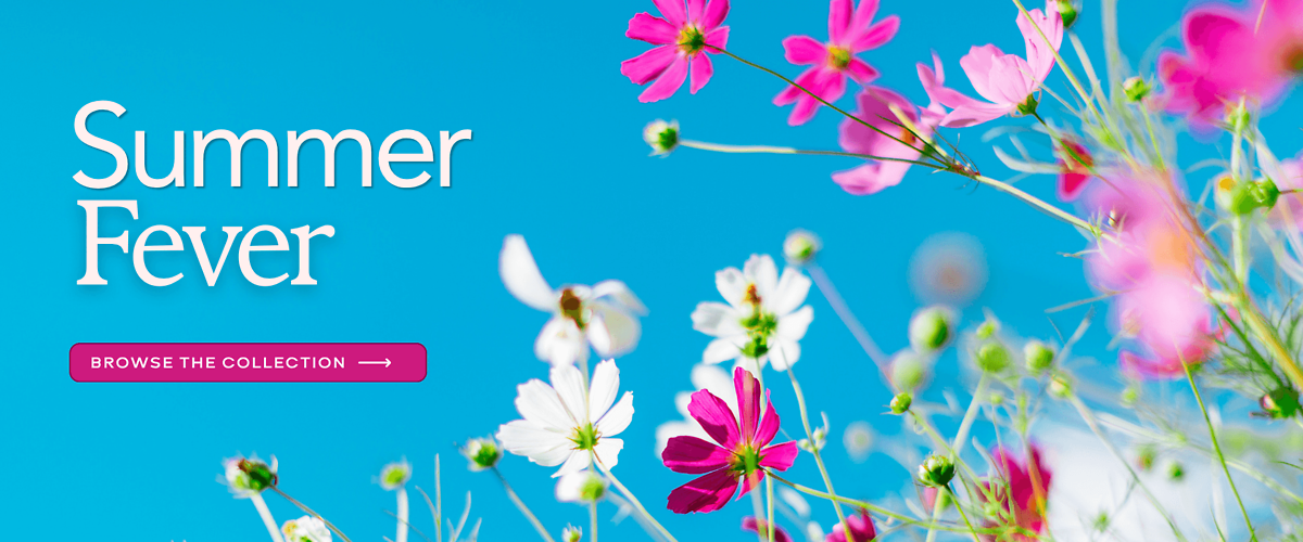 Summer Flowers