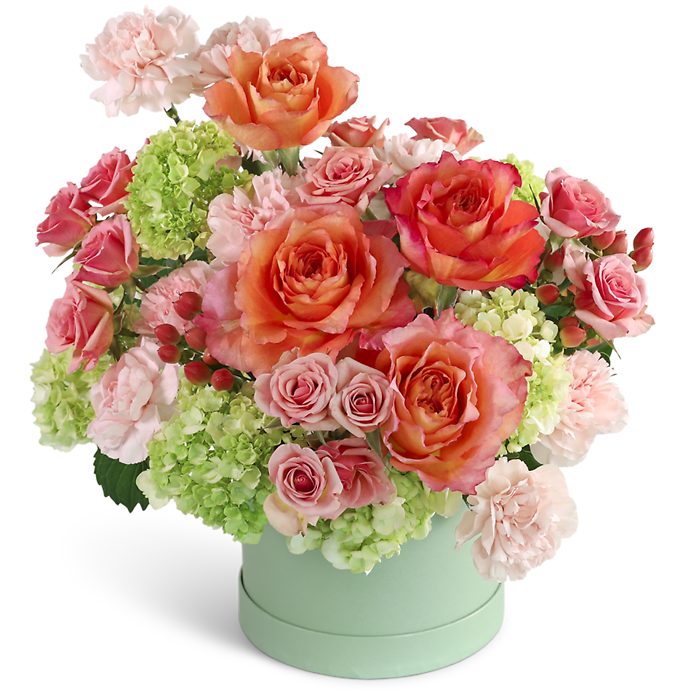 Blooming Coral Garden