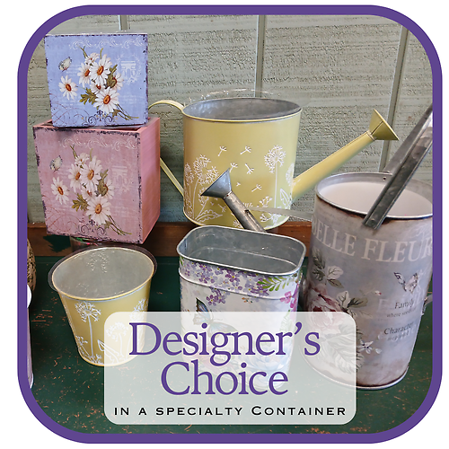 Designer\'s Choice Specialty Container