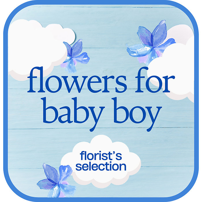 Designer\'s Choice Baby Boy