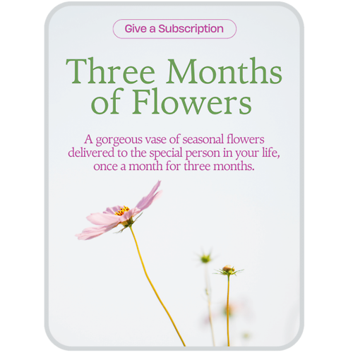 Bouquet of the Month Club (3)