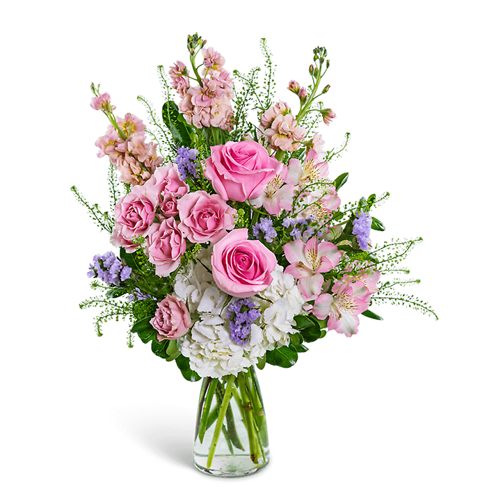 Cotton Candy Sweetie