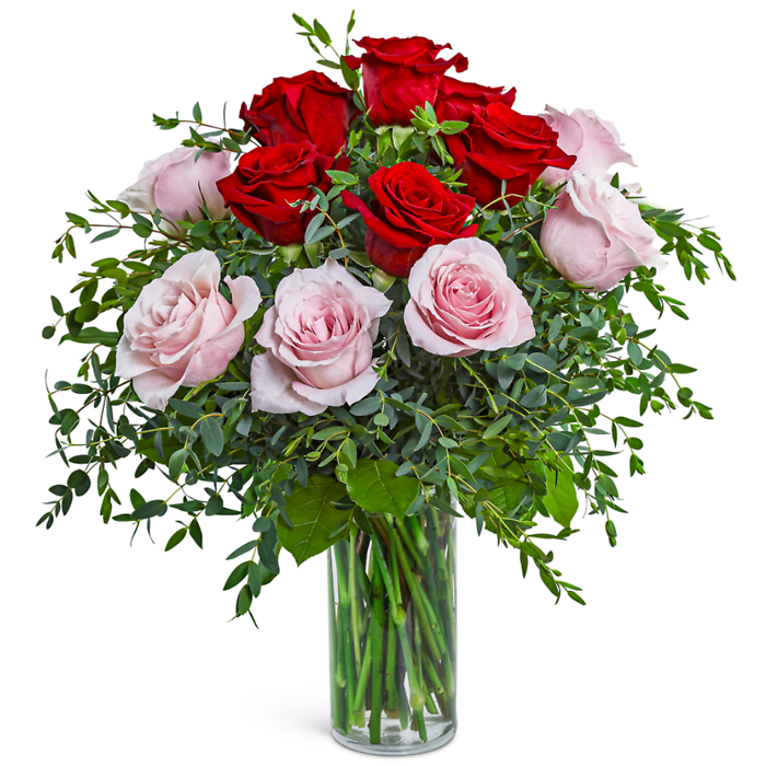 One Dozen Perfect Pink and Red Roses