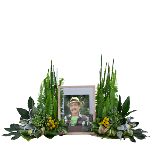 Surrounded in Nature